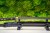 katana-model-5h-prezentacja-na-stojaku.jpg