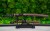 komplet-wakizashi-tanto-4s.jpg