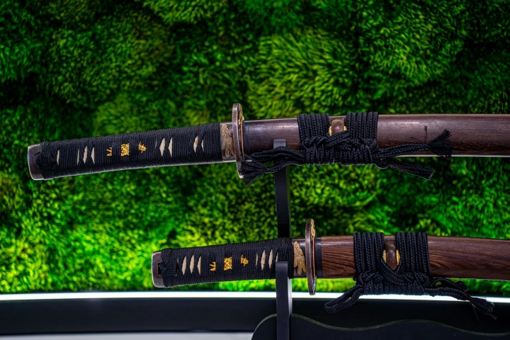 wakizashi-tanto-4s-blade-vision.jpg