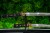 wakizashi-tanto-4s-do-kolekcji.jpg