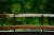 shirasaya-model-s1-2-hamon.jpg