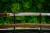 shirasaya-model-s1-2-hamon-zblizenie.jpg