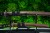 wakizashi-tanto-4s-saya.jpg