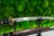 piekny-naturalny-hamon-wakizashi-4s.jpg