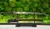 wakizashi-4s-blade-vision.jpg