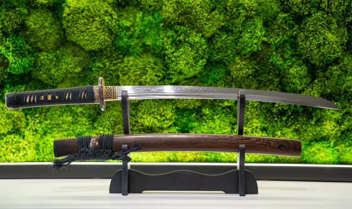 wakizashi-4s-blade-vision.jpg