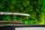 wakizashi-model-4s-ostrze.jpg