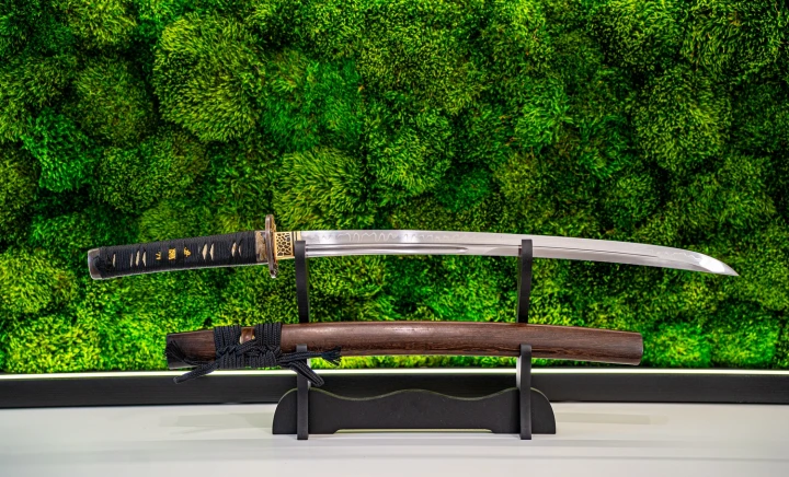 wakizashi-model-4s-pelny-widok.jpg