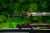 wakizashi-model-4s-uchwyt-rekojesc-saya.jpg