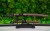 zestaw-wakizashi-tanto-4s.jpg
