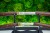 hamon-naturalny-s1-3-wakizashi-tanto.jpg