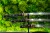 grzbiet-ostrza-mune-stal-t10-55-hrc.jpg