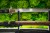 katana-t10-ostrze-hartowane-w-glinie-hamon.jpg