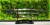 katana-wakizashi-tanto-t10-ekspozycja-ostrzy.jpg
