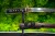 tradycyjne-tanto-t10-surowe-drewno-rozane.jpg