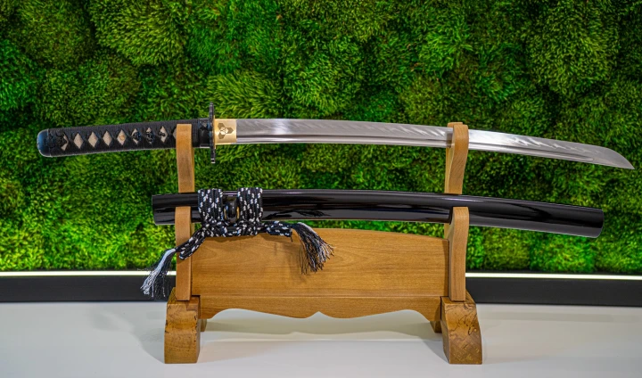 wakizashi-5h-blade-vision.jpg
