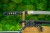 wakizashi-model-5h-detale.jpg