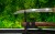hamon-tanto-model-4s.jpg