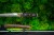 tanto-model-4s-bok.jpg