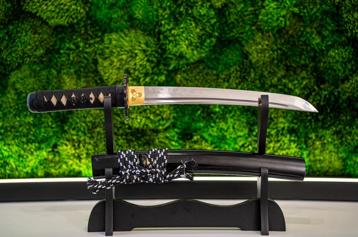 tanto-5h-blade-vision.jpg