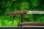 tanto-s1-3-detale-habaki-haoon-zblizenie.jpg