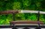 tanto-shirasaya-model-s1-3-naturalny-hamon.jpg